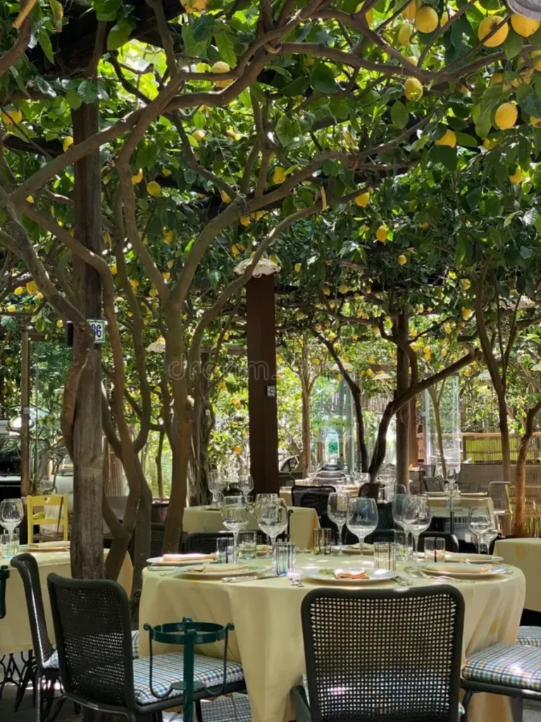 Hanging Lemon Tree Canopies Above Plates