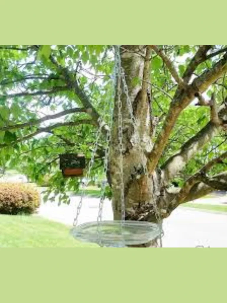 Hanging Macrame Jute Fiber Cords Bird Bath
