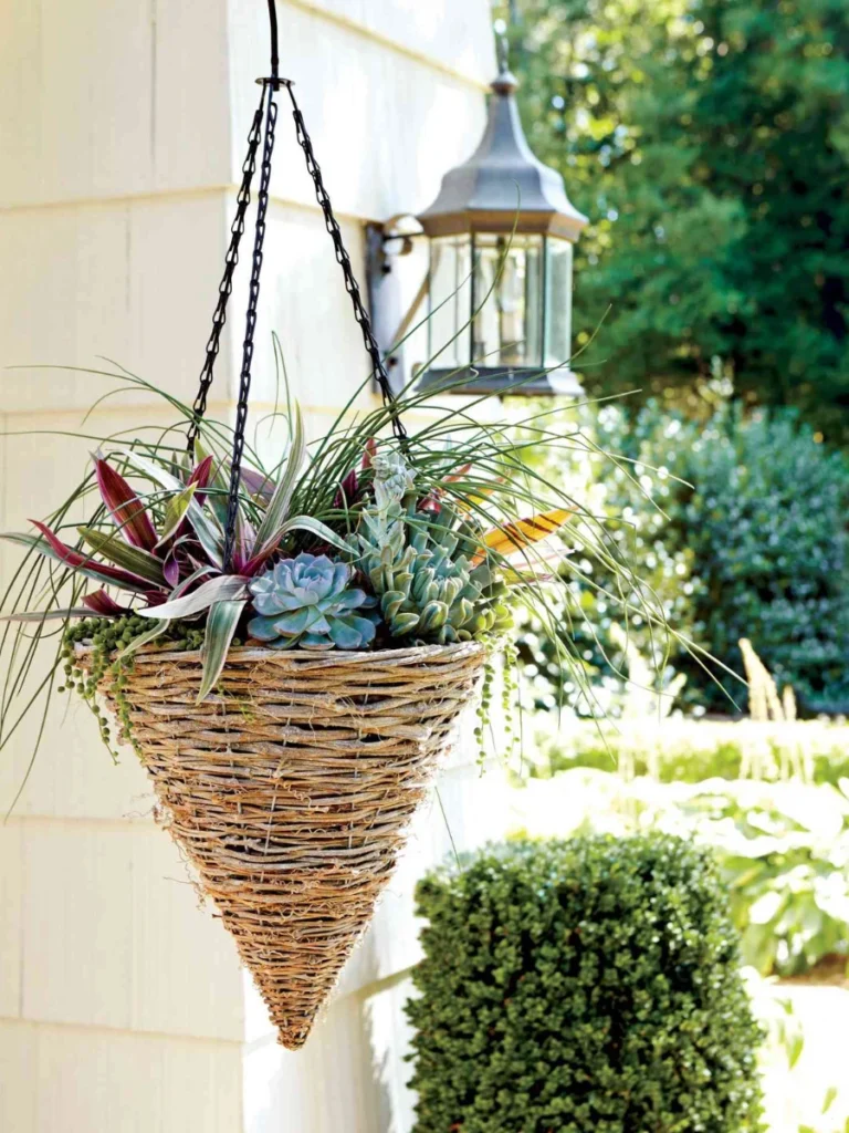 Hanging Rattan Basket Planters