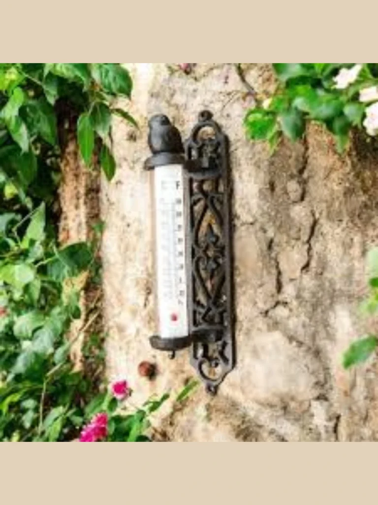 Heavy Cast Iron Look Thermometer Plates