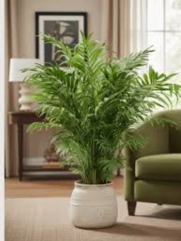 Heavy Weighted Composite Stone Planter Pots