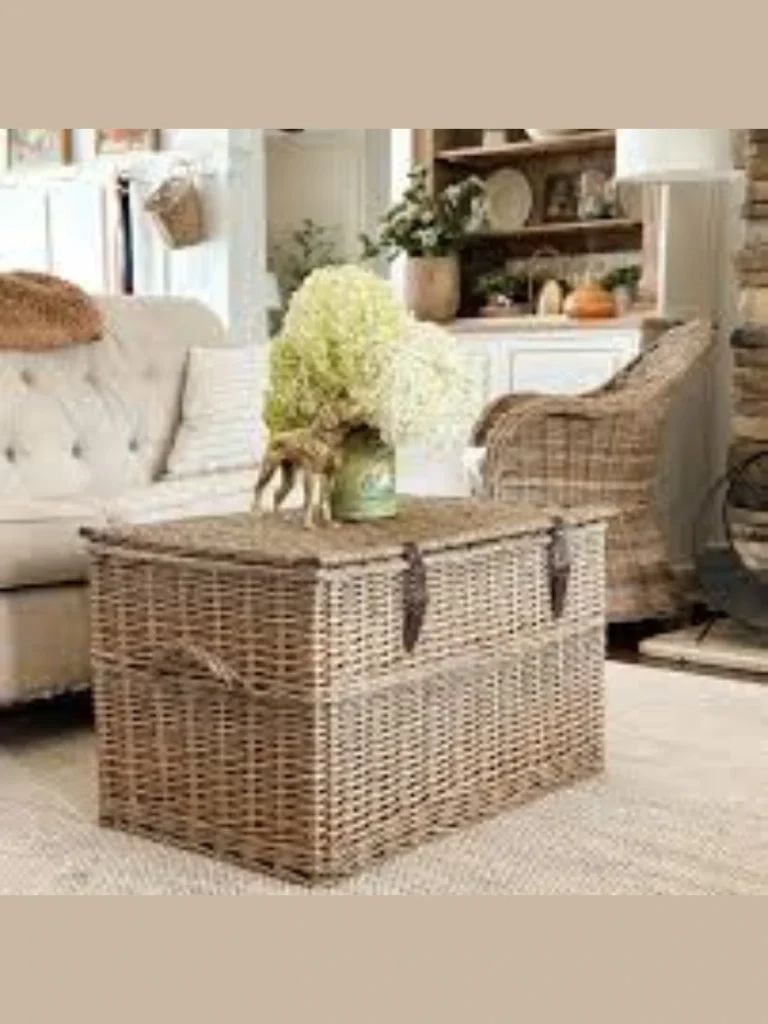 Introduce Light Rattan Baskets for Living Room Storage