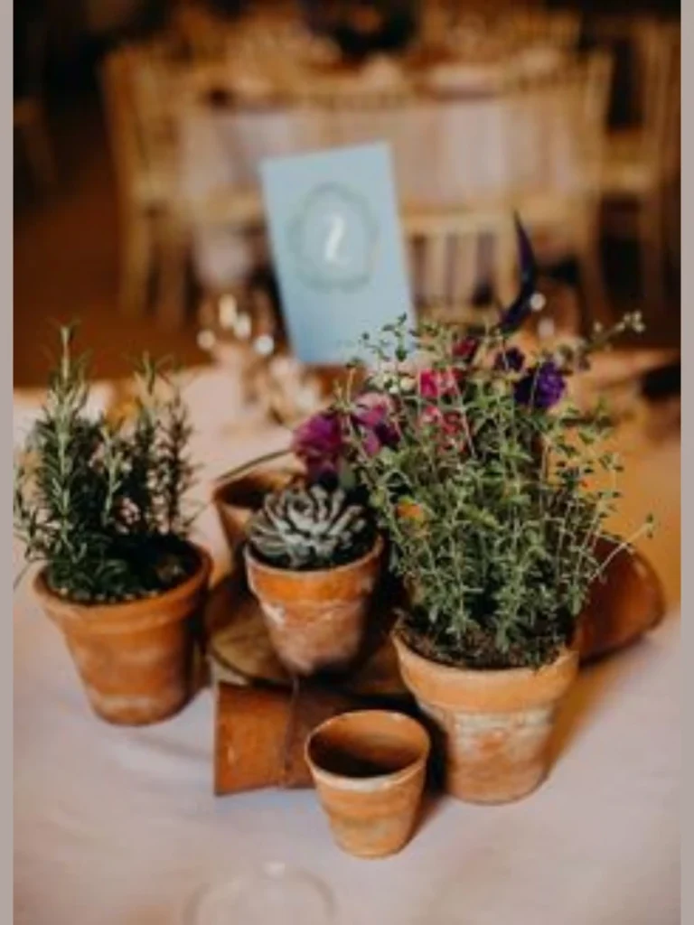 Mini Terracotta Pot Harvest herb Gardens