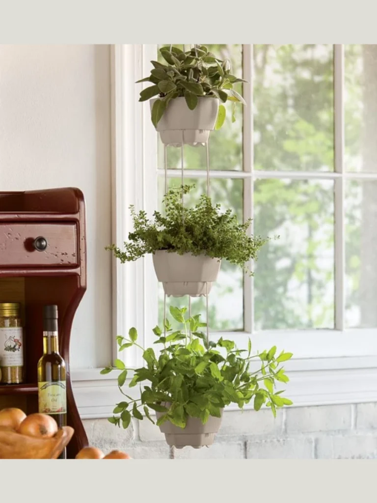 Miniature Potted Herb Gardens for Sensory Freshness