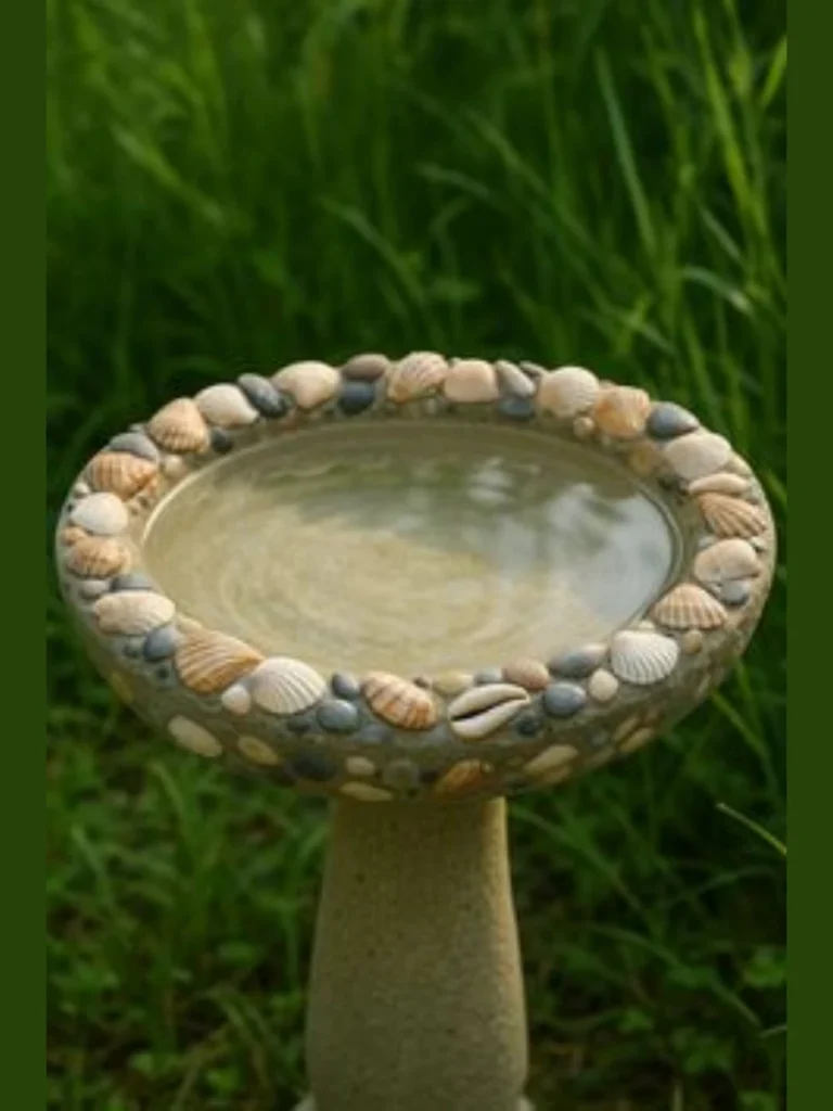 Natural Sea Shell Puddling Dishes