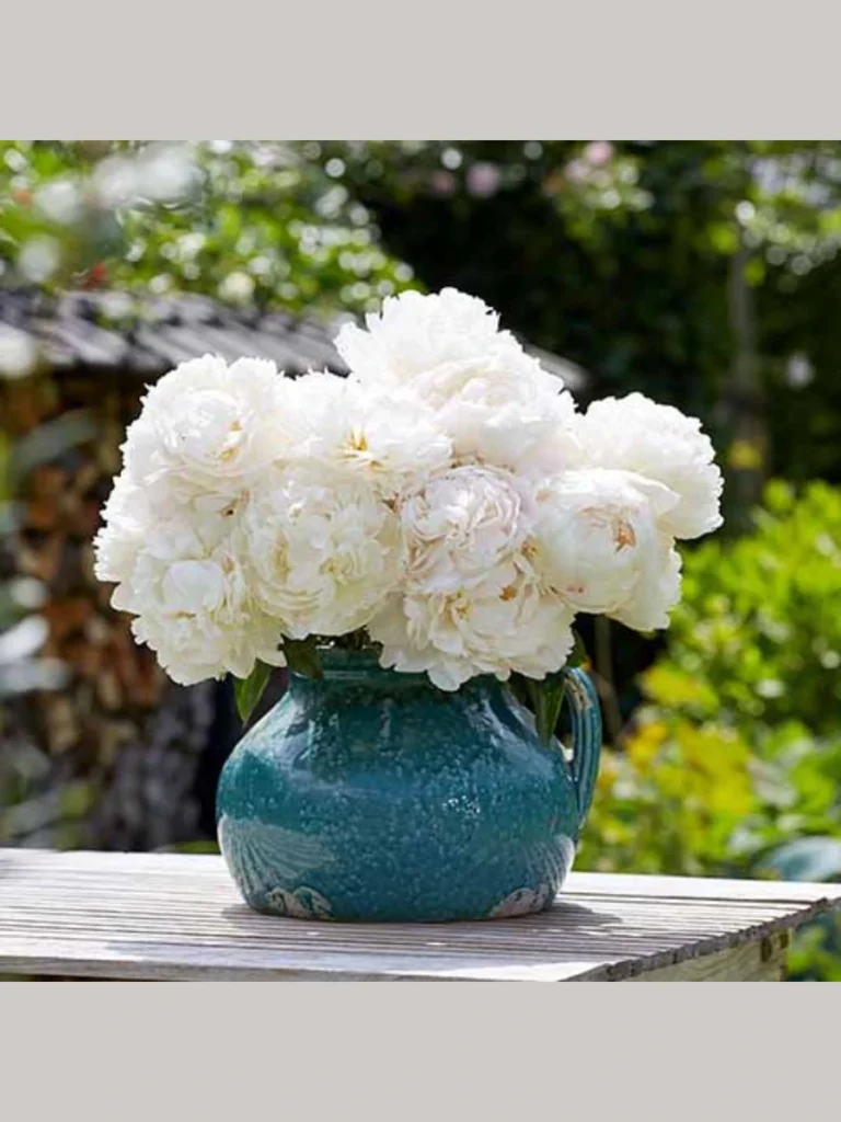 Nest Fluffy White Garden Peonies Inside a Shiny Solid Copper Mint Julep Cup