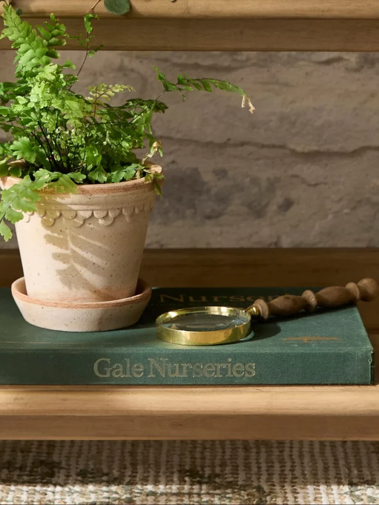 Pair an Antique Brass Hand Magnifying Glass with a Textured Cream Stoneware Vase