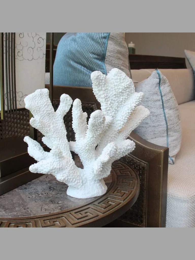 Polished White Coral Sculptures