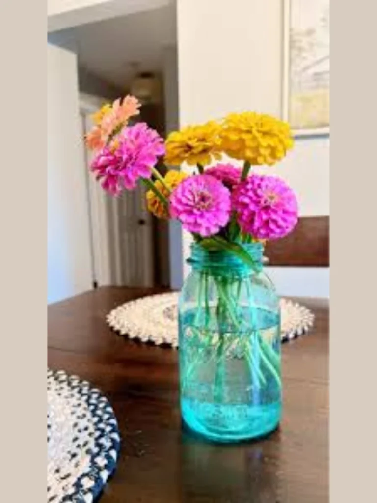 Position Multi Colored Garden Zinnias Inside a Classic Clear Glass Mason Jar
