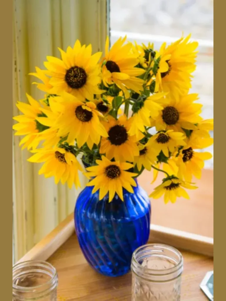Position Yellow Black Eyed Susans Inside a Clean White Porcelain Sugar Bowl