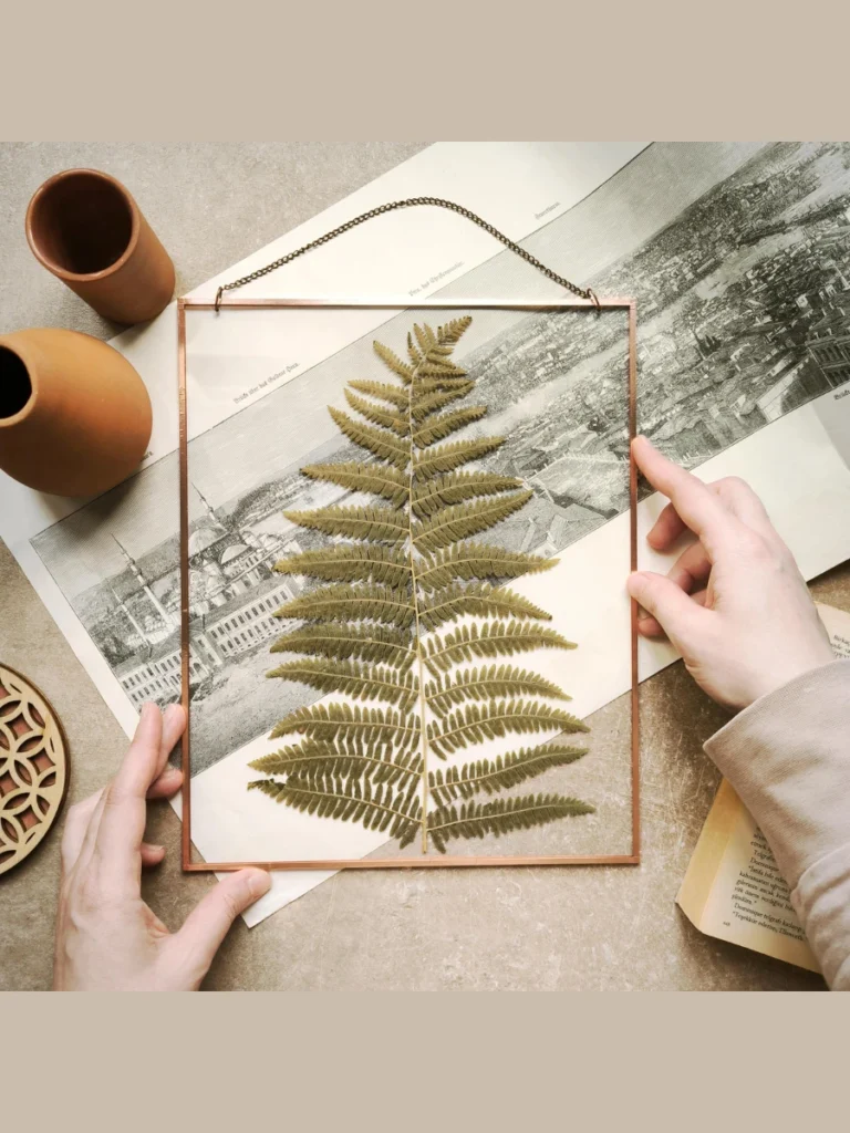Real Pressed Fern Leaf Transparent Frames