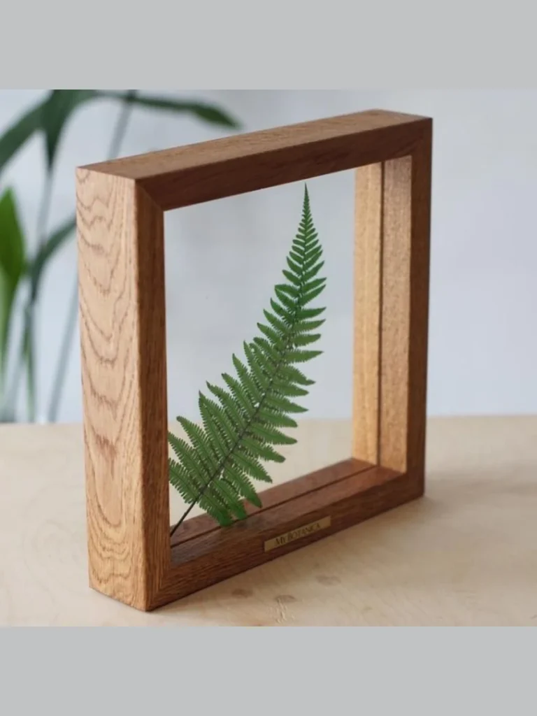 Real Pressed Fern Leaf Transparent Frames