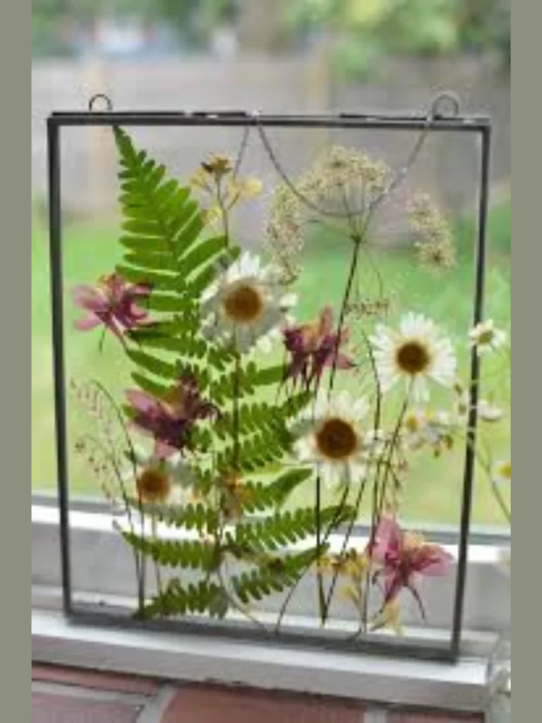 Real Pressed Fern Leaf Transparent Frames
