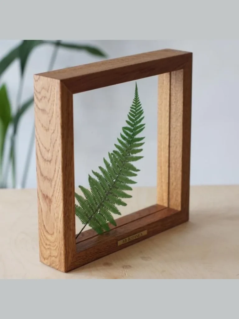 Real Pressed Fern Leaf Transparent Frames