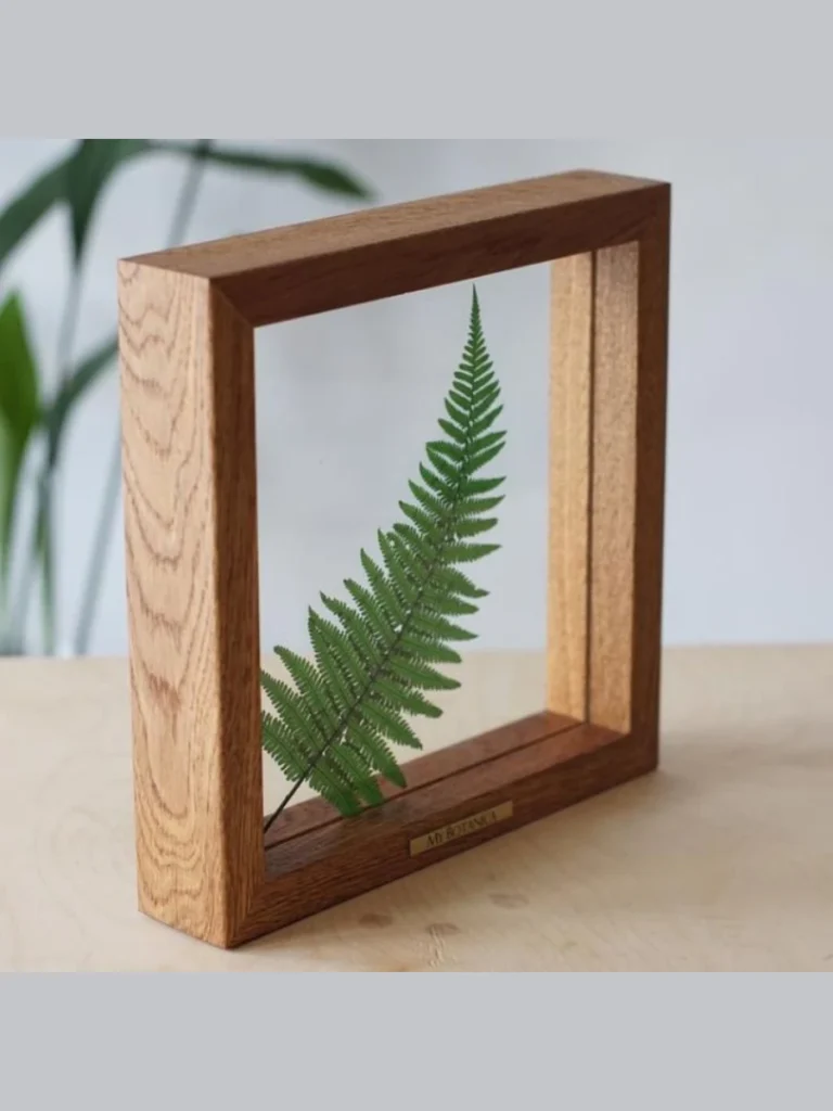 Real Pressed Fern Leaf Transparent Frames