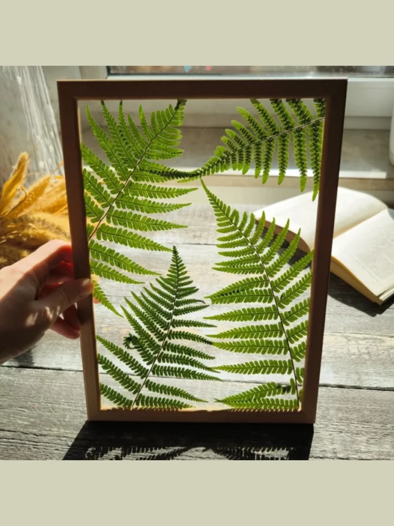 Real Pressed Fern Leaf Transparent Frames
