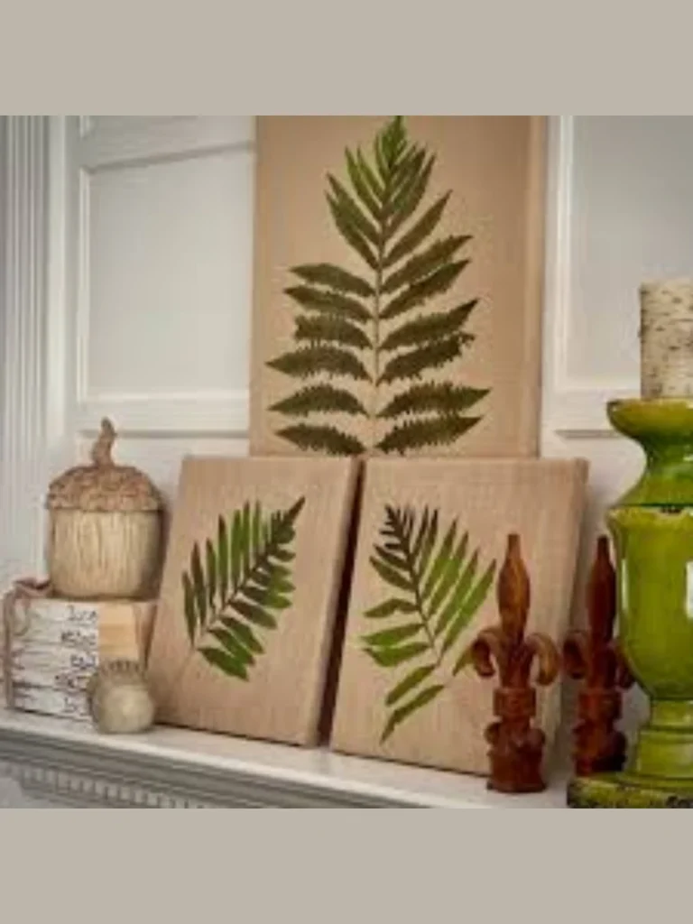 Real Pressed Fern Leaf Transparent Frames