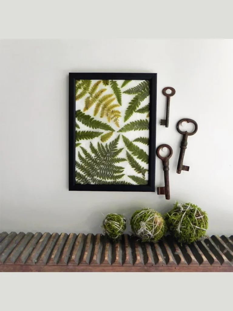 Real Pressed Fern Leaf Transparent Frames