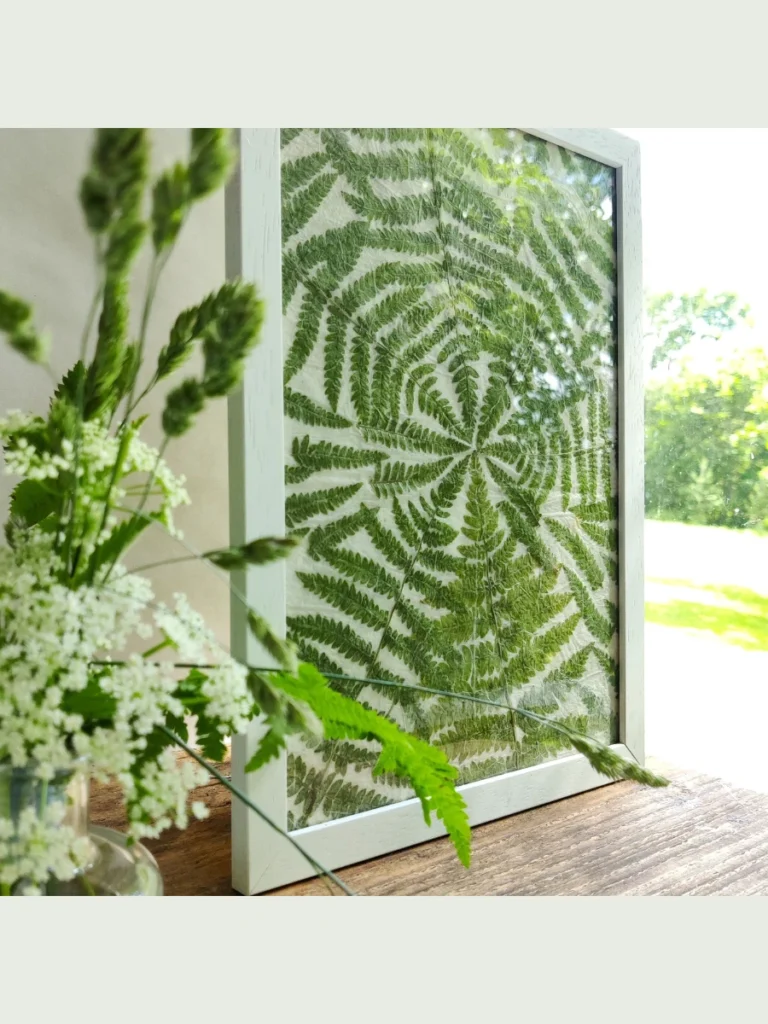 Real Pressed Fern Leaf Transparent Frames