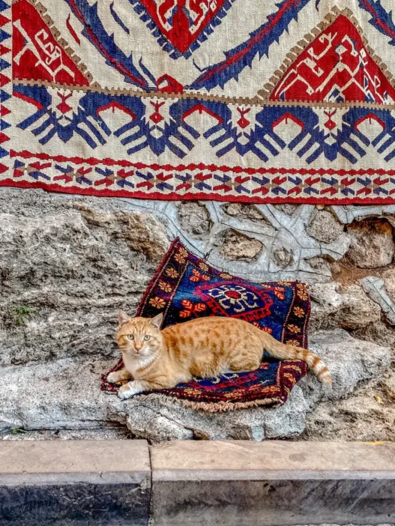 Roll Out a Heavy Patterned Turkish Flatweave Tapestry for Rich Textures