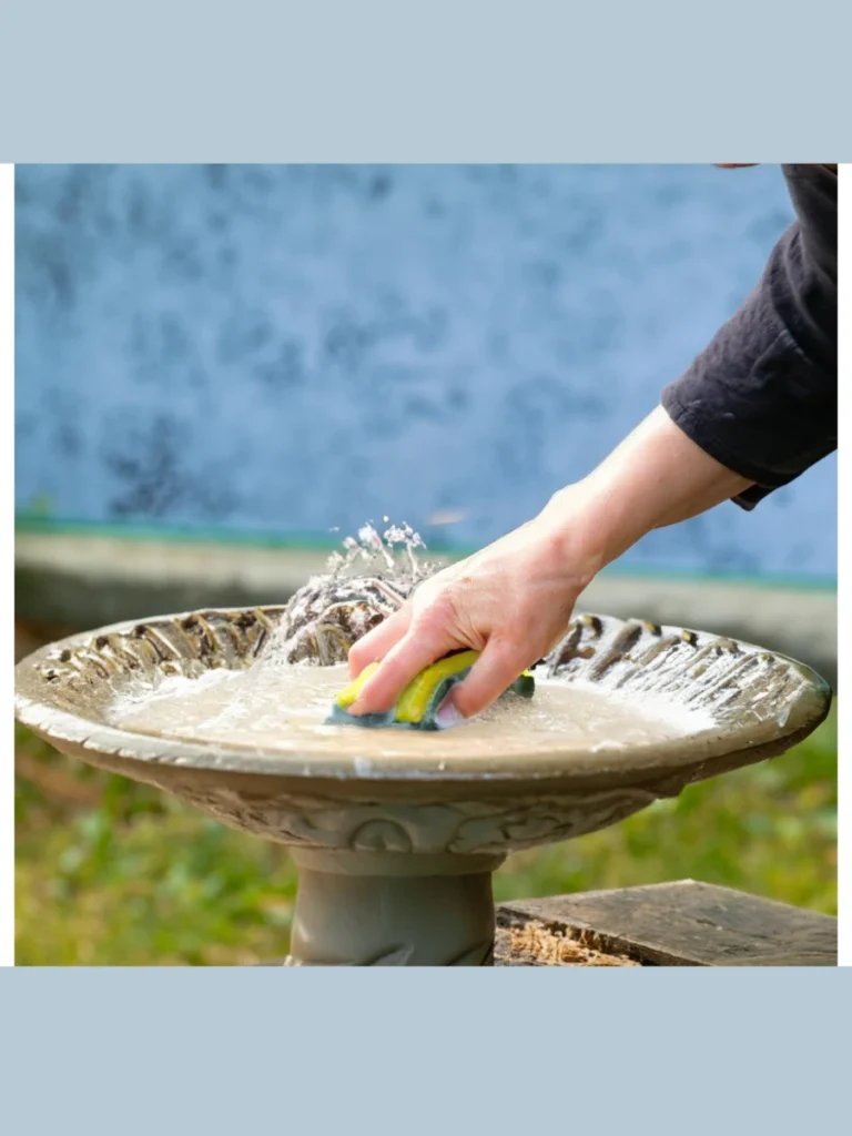 Safe Liquid Citric Acid Wash Down Pastes