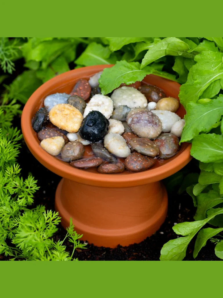 Shallow Terracotta Saucer Rings