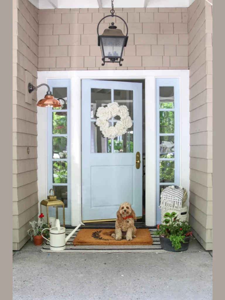 Single Quart Premium Front Door Paint