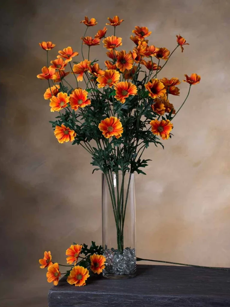 Slide Vibrant Orange Cosmos Stems Inside an Old Clear Glass Apothecary Jar