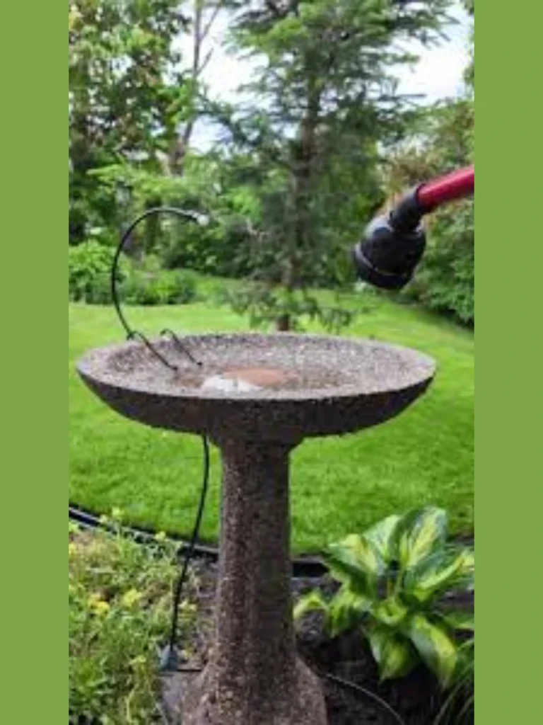 Split Log Ladder Basin Perches
