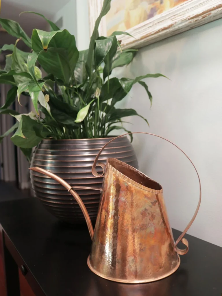 Staged Antique Copper Watering Cans