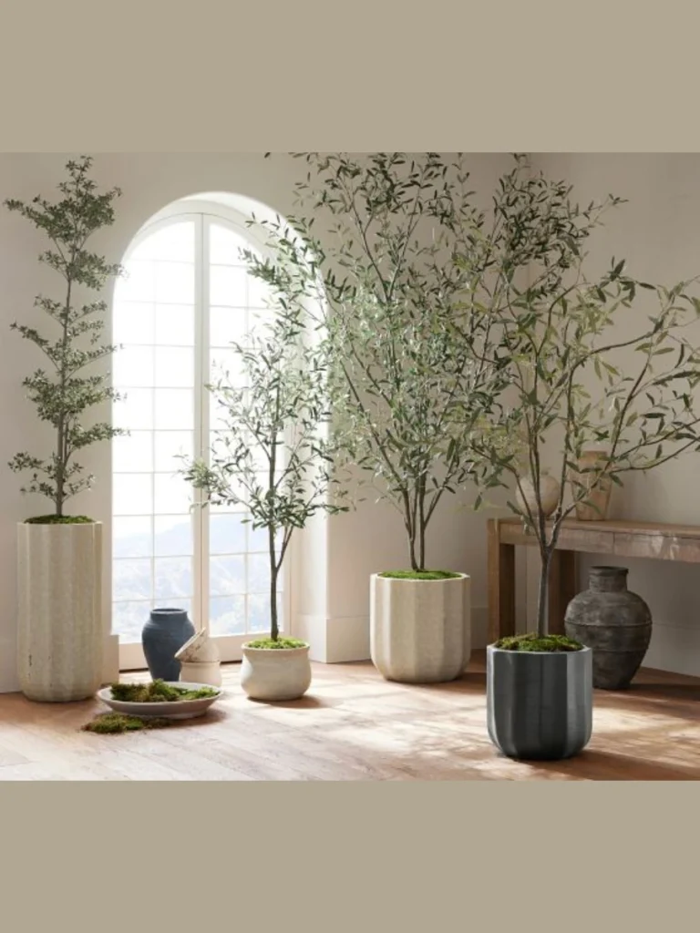 Style Concrete Pots with Fresh Olive Branches