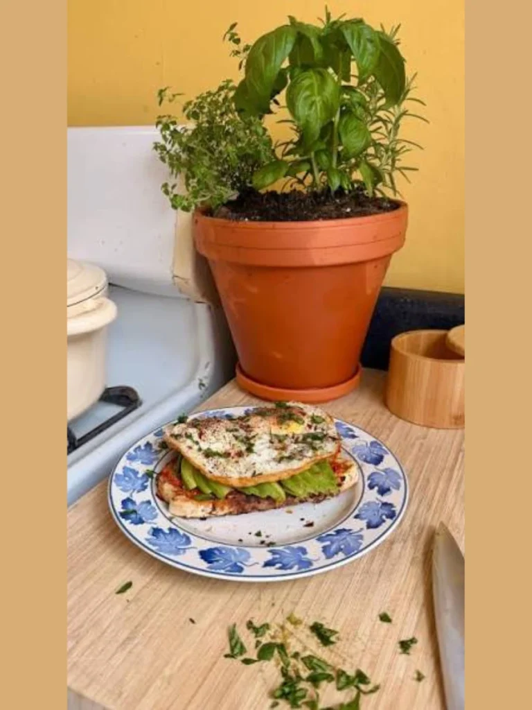 Terrakotta Potted Lemon Mint Herb Gardens
