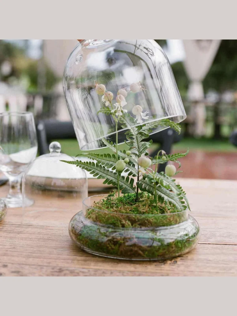 Terrarium Glass Globes with Moss and Acorn Fills