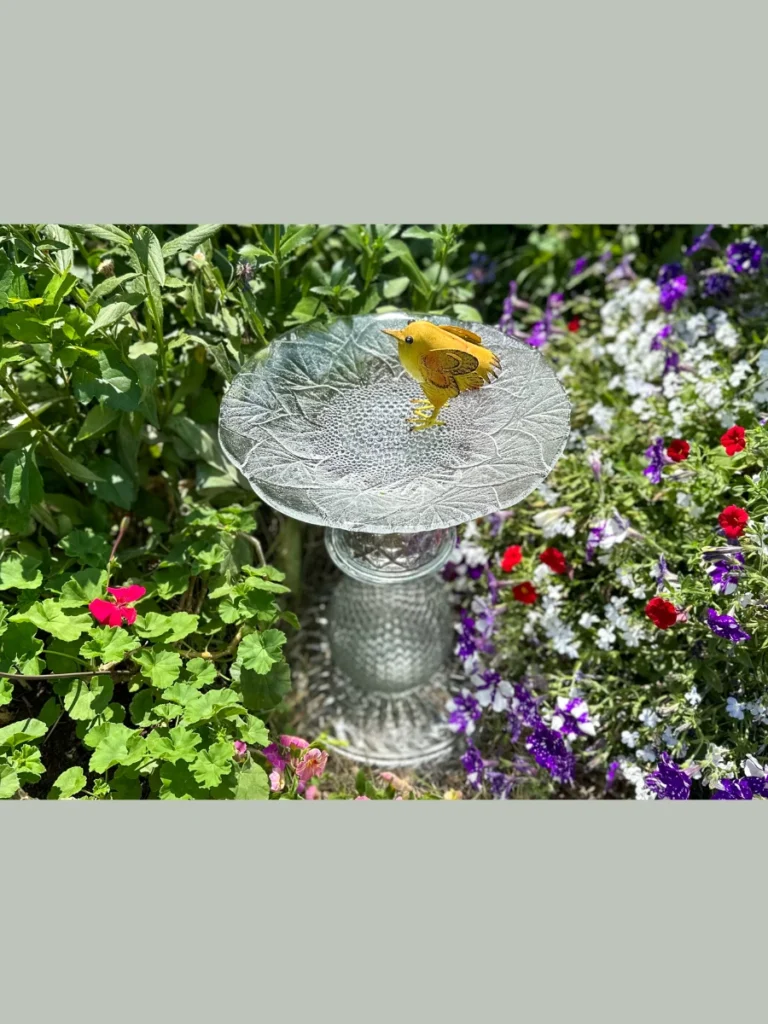 Textured Bubble Glass Fruit Platters