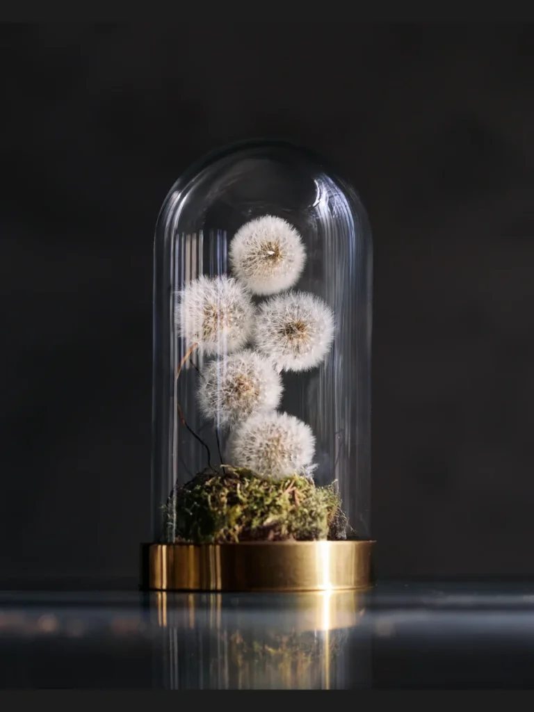 Track Low Profile Yellow Dandelion Heads Inside a Small Clear Glass Salt Shaker