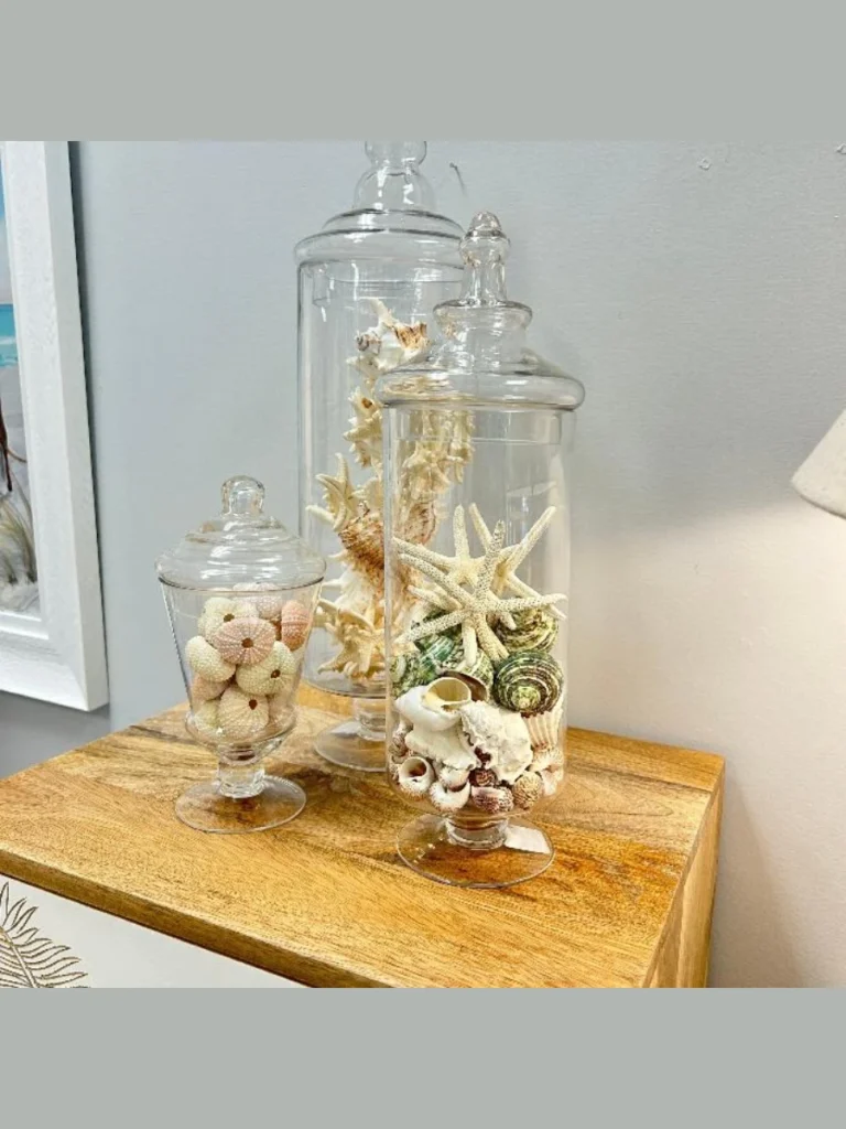 Track Three Clear Glass Apothecary Jars Filled with Uniform Dried White Sand Dollar Shells