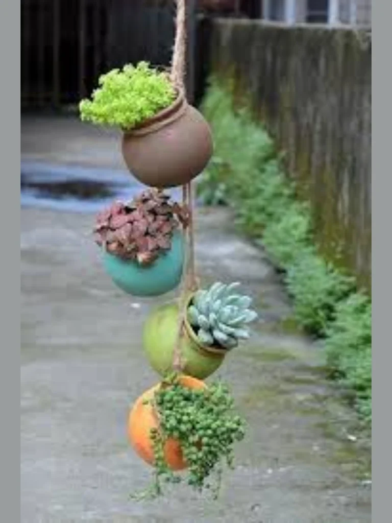 Trailing Ivy in Tall Clay Urn Stands