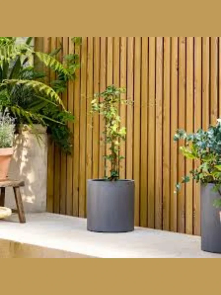 Trailing Ivy in Tall Earthenware Urns