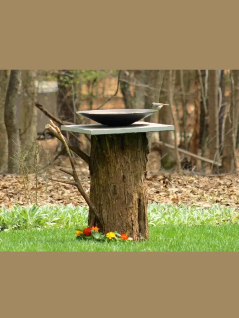 Tree Stump Baseline Pedestals