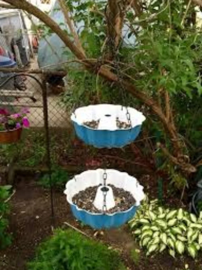 Upside Down Tomato Crate Racks