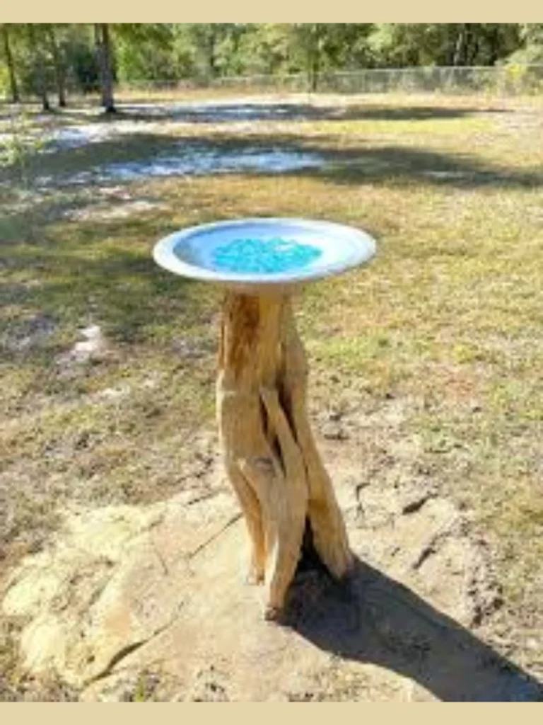 Weathered Driftwood Log Bowl Shelves