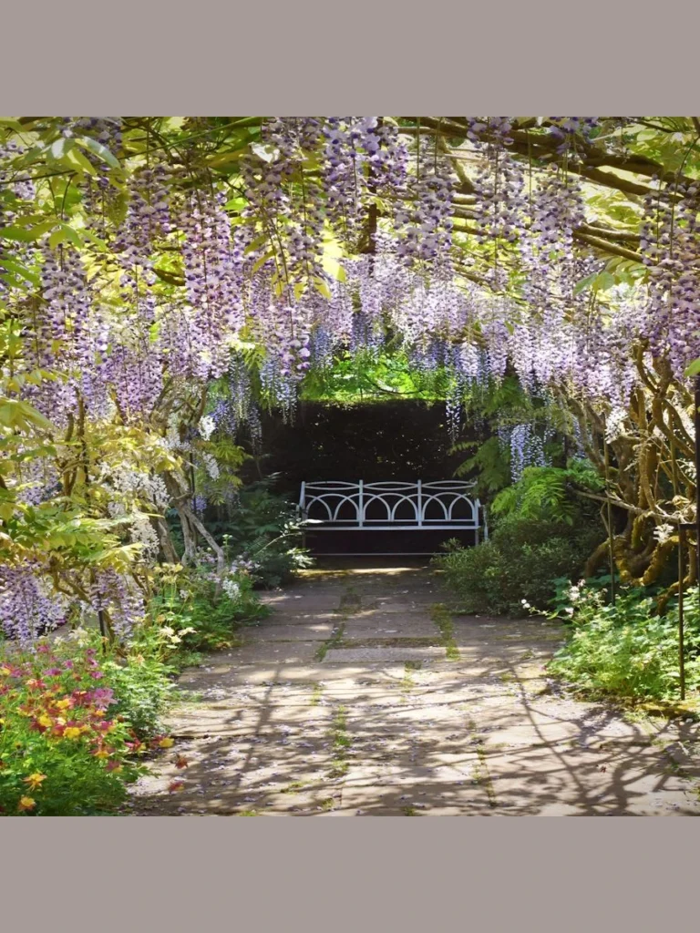 Weave Copper Wire Micro Bulbs Safely Through Climbing Ivy and Wisteria
